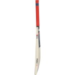 GM Purist 707 English Willow Cricket Bat
